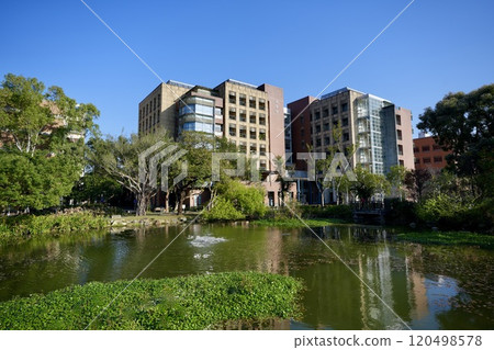 國立台灣大學靈月湖(台灣台北市大安區) 國立台灣大學靈月湖(台灣台北市大安區) 120498578