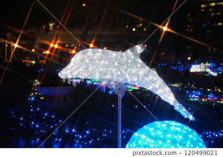 Illuminations of dolphins Illuminations of dolphins 120499021