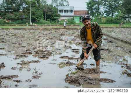 A dedicated rural farmer is cultivating a lush rice field in Indonesias countryside 120499266