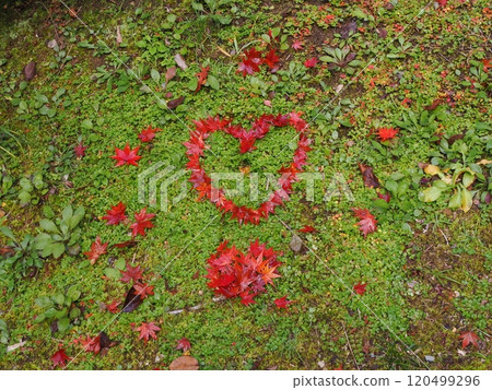 Fallen leaves art Fallen leaves art 120499296