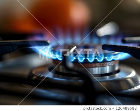 Close-up of gas stove burner with burning flames. 120499598