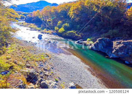 長瀞峽谷的秋葉和荒川的水流 120500124