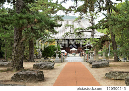 Temple No. 80: Hakuushisan Senjuin Kokubunji (Main Hall) [Kokubunji-cho, Takamatsu City, Kagawa Prefecture] 120500243