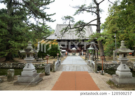 第80號寺白牛山千手院國分寺（本堂）[香川縣高松市國分寺町] 120500257
