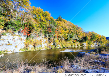 Fall foliage on cliffs and rock formations Fall foliage on cliffs and rock formations 120500557
