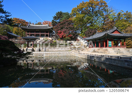 Autumn at Changdeokgung Palace 120500674