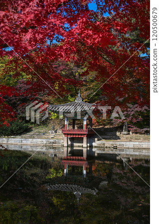 Autumn at Changdeokgung Palace 120500679