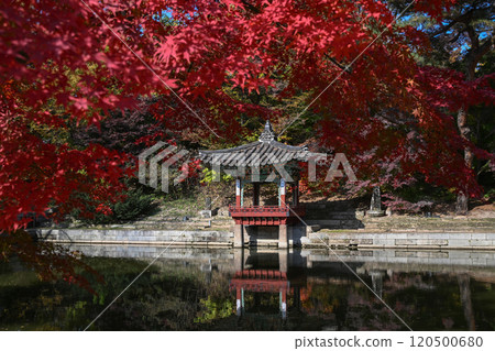 Autumn at Changdeokgung Palace 120500680