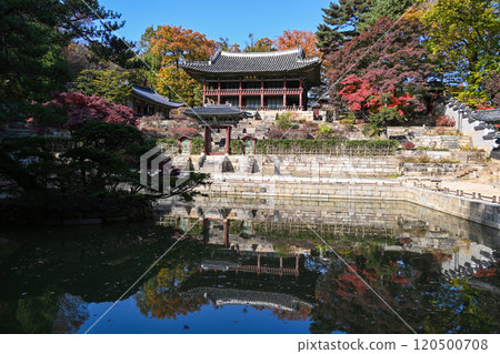 Autumn at Changdeokgung Palace 120500708