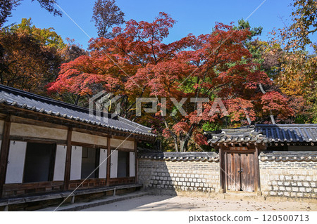 Autumn at Changdeokgung Palace 120500713