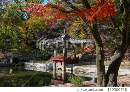 Autumn at Changdeokgung Palace 120500738