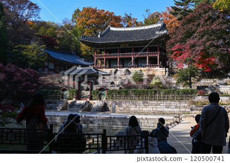 Autumn at Changdeokgung Palace 120500741