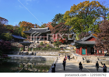 Autumn at Changdeokgung Palace 120500742