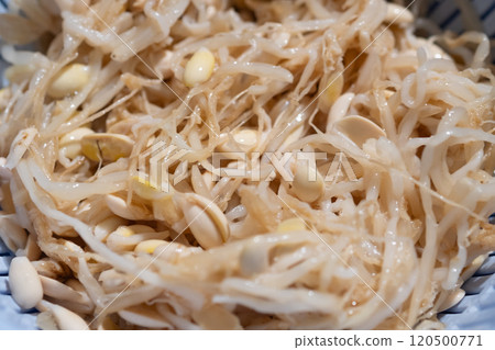 豆芽namul的圖像（照片素材） 120500771