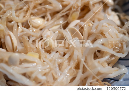 豆芽namul的圖像（照片素材） 120500772