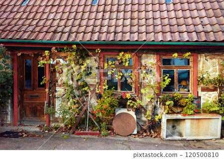 Rustic Autumn Vineyard Cottage in Charming Rural Setting. Rustic Autumn Vineyard Cottage Nestled in a Charming Rural Setting. A Captivating Scene of Nature's Beauty. 120500810