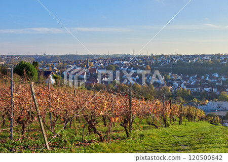A picturesque vineyard beautifully overlooking a charming and delightful little village 120500842