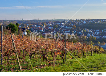 Autumn View of a Charming German City from a Hill Scenic Vineyards on the Slopes of the Neckar River with Lush Valley and Historic Architecture. 120500880