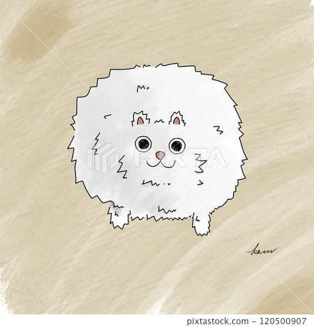 Fluffy pomeranian illustration Fluffy pomeranian illustration 120500907