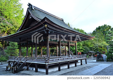 Izumo Ojinjingu Izumo Ojinjingu 120500942
