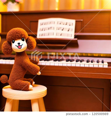 Toy poodle playing piano 120500989