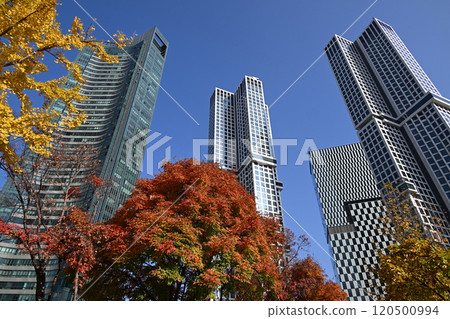 Seoul Forest Park and surrounding apartments and buildings Seoul Forest Park and surrounding apartments and buildings 120500994