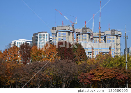 Seoul Forest Park and surrounding apartments and buildings Seoul Forest Park and surrounding apartments and buildings 120500995