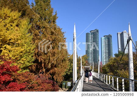 Seoul Forest Park and surrounding apartments and buildings 120500998