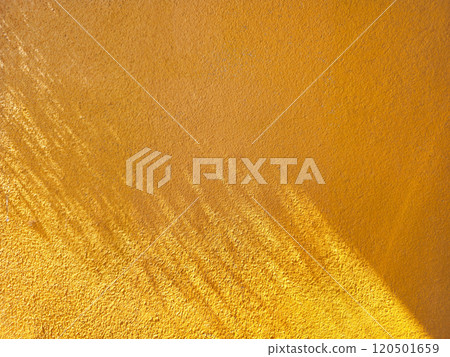 Leaves shadow on white concrete wall background. 120501659