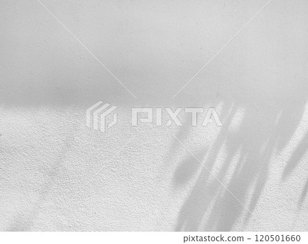 Tree branches shadow and bokeh on white concrete wall background. 120501660