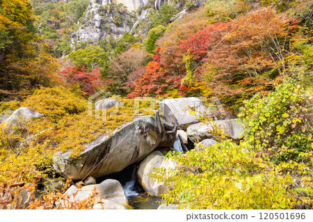 Shosenkyo in autumn 120501696