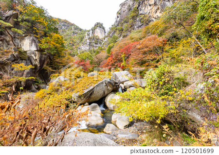 Shosenkyo in autumn 120501699