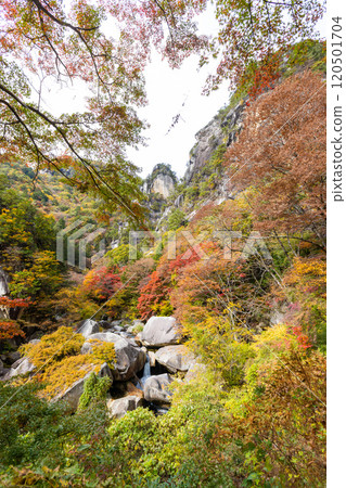 Shosenkyo in autumn Shosenkyo in autumn 120501704