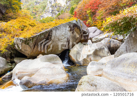 Shosenkyo in autumn 120501716