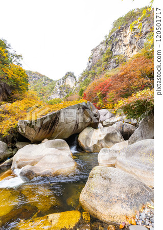 Shosenkyo in autumn Shosenkyo in autumn 120501717