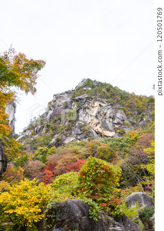 Shosenkyo in autumn 120501769
