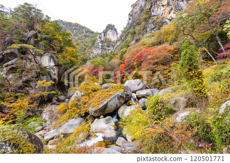 Shosenkyo in autumn 120501771