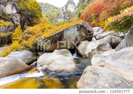 Shosenkyo in autumn Shosenkyo in autumn 120501777