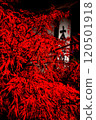 Bright autumn leaves 120501918