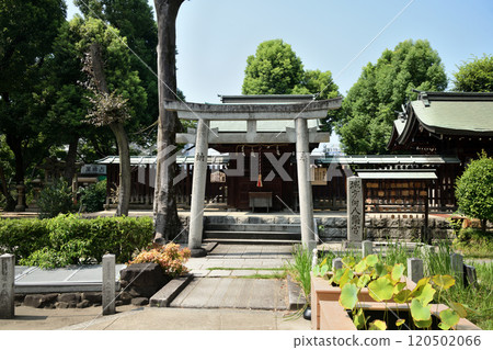 生國魂神社（次郎八幡神社）[大阪市天王寺區生玉町] 120502066