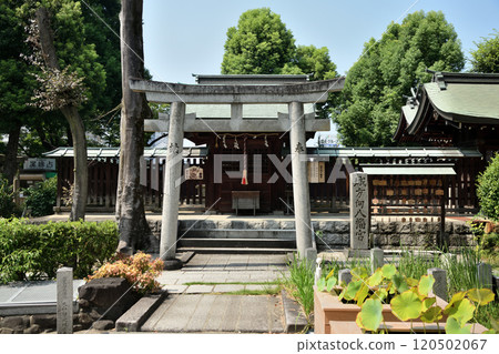 Ikutama Shrine (Tomoe Shrine) [Ikutamacho, Tennoji Ward, Osaka City] 120502067