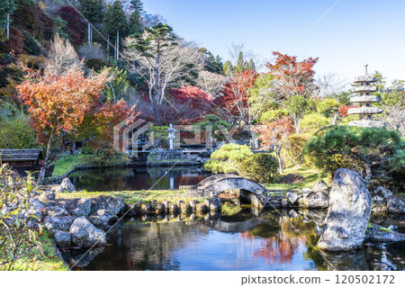 Autumn in Tenshukaku Nature Park: Water reflections and autumn leaves in the Japanese garden, Sendai, Miyagi Prefecture Autumn in Tenshukaku Nature Park: Water reflections and autumn leaves in the Japanese garden, Sendai, Miyagi Prefecture 120502172