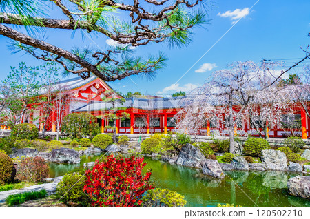 京都、三十三間堂、東大門櫻花盛開 120502210
