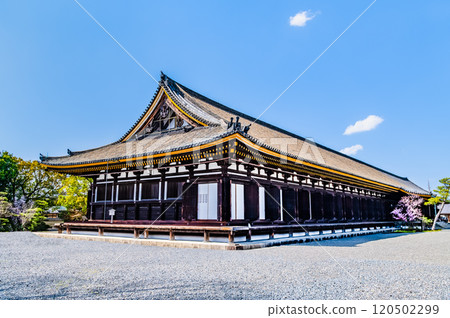 京都三十三間堂正殿 120502299