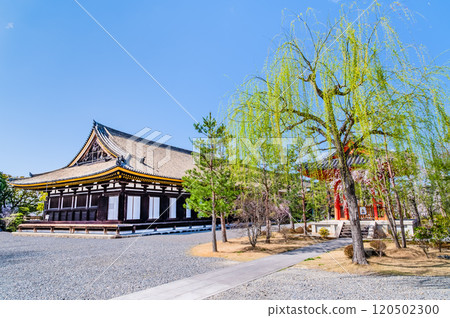 京都三十三間堂正殿 120502300
