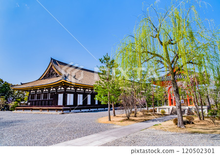 京都三十三間堂正殿 120502301