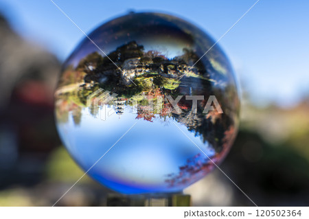 Autumn in Tenshukaku Nature Park, autumn leaves seen through a glass ball, Sendai, Miyagi Prefecture 120502364