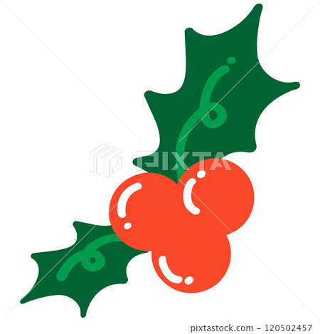 christmas holly berry 120502457