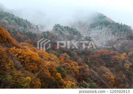 仙安隧道外仙安嶺初雪的初冬景色 仙安隧道外仙安嶺初雪的初冬景色 120502613