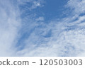 Blue Sky and Downcast 120503003